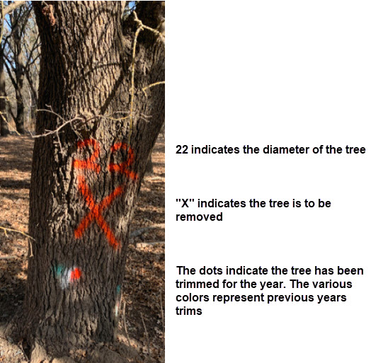How are trees marked for trimming or removal? What are the different